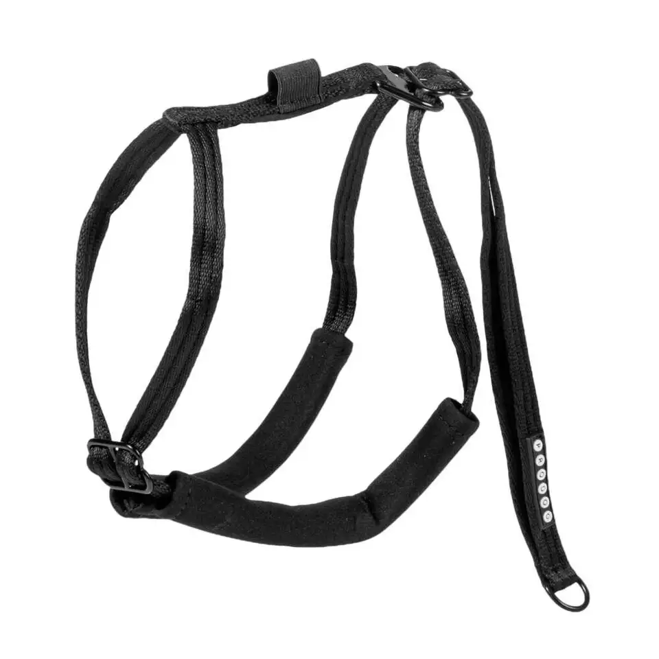 Pro Dog Stop Pull -vedonestovaljaat